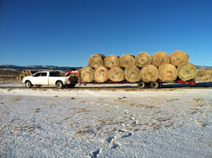 Customers Flatbed Trailer with 20 Hay Bales